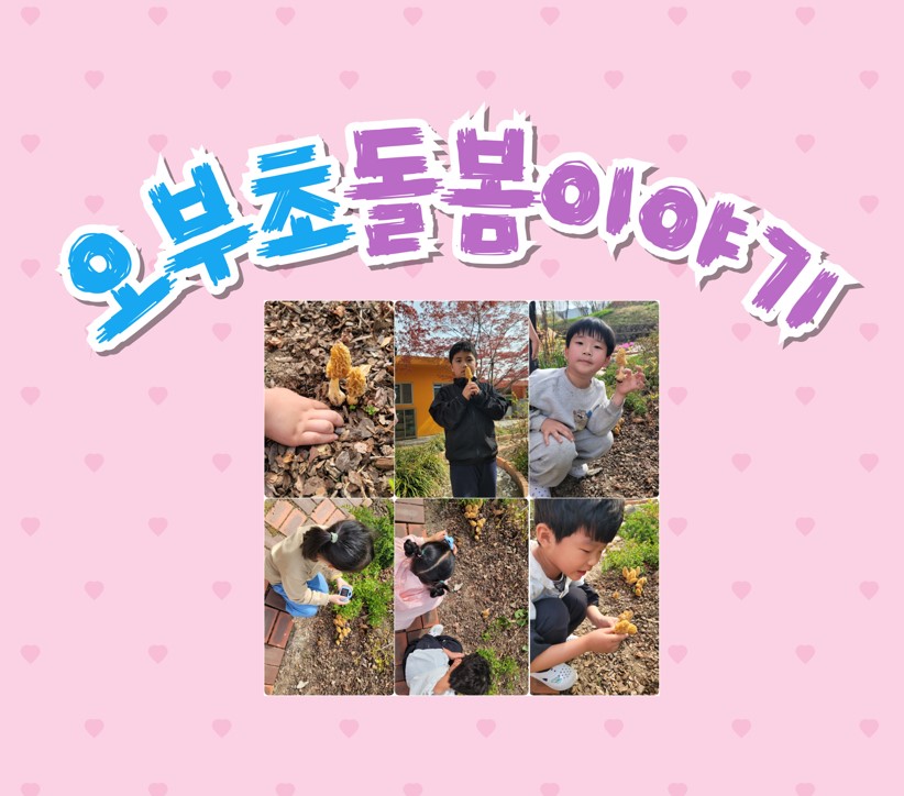 오부초 돌봄이야기-집중돌봄